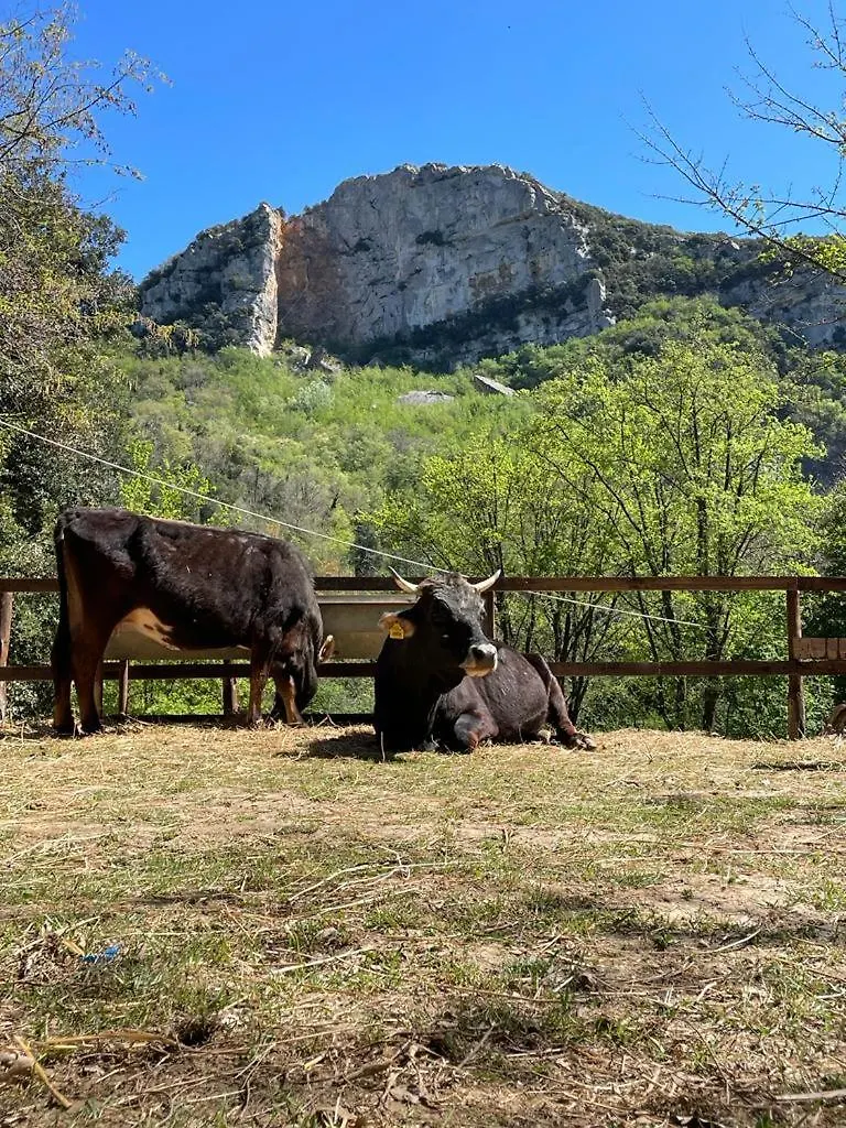 Hotel Agricamping Le Terrazze Orco Feglino 0*,